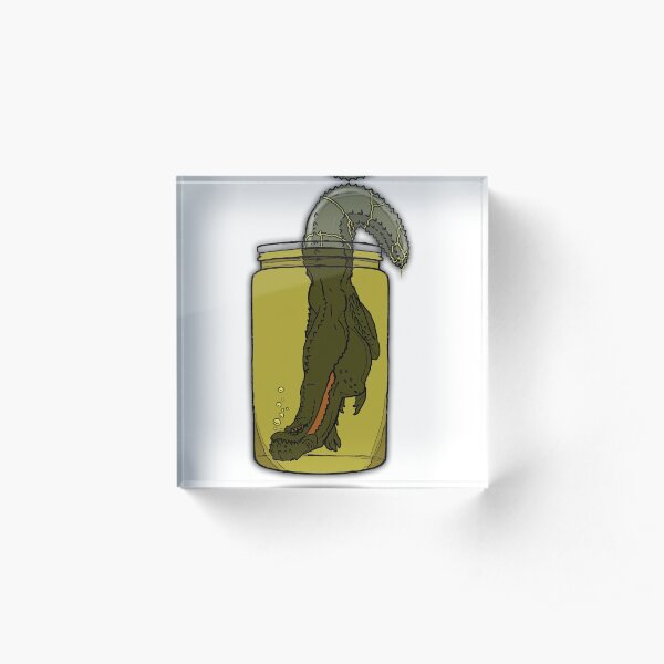 PICKLE DJHO Acrylic Block