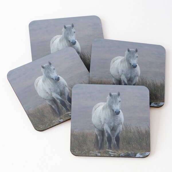 Item preview, Scottish Highland Pony designed and sold by derekbeattie.