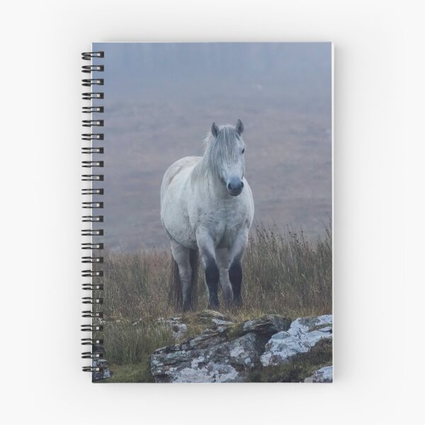 Item preview, Scottish Highland Pony designed and sold by derekbeattie.