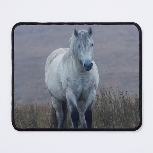 Item preview, Scottish Highland Pony designed and sold by derekbeattie.