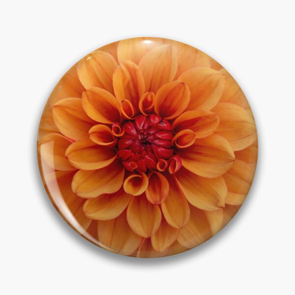 Item preview, Hermosa flor de dalia naranja brillante primer plano designed and sold by Harmony Of The Mind.