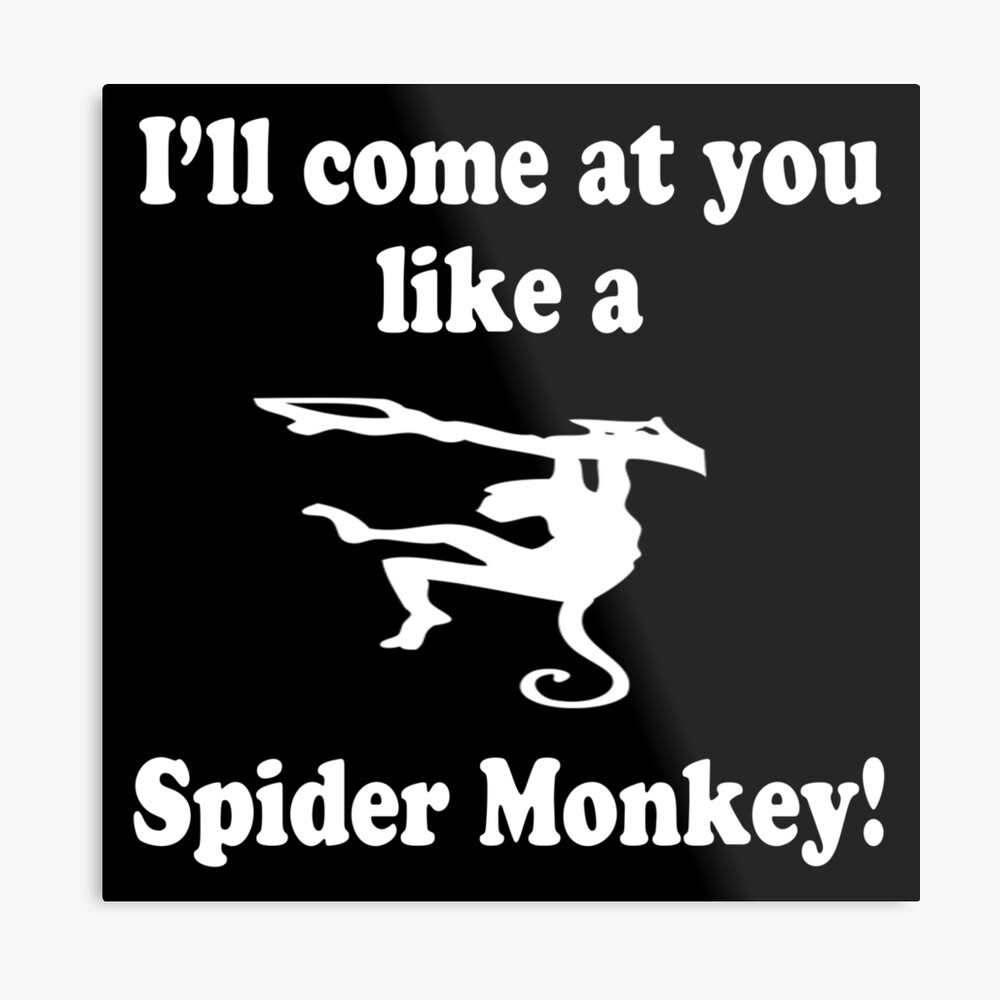 I Ll Come At You Like A Spider Monkey Talladega Nights Quote Canvas Print By Everything Shop Redbubble