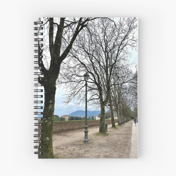Item preview, Winter walk designed and sold by BreeFarinaPhoto.