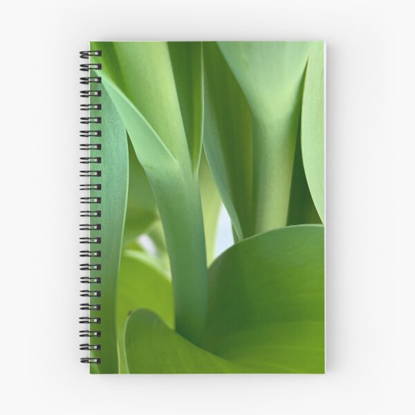 Artikelvorschau, Blatt der Tulpe entworfen und verkauft von Darnell Williams.