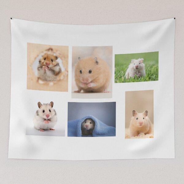 Item preview, Playful Hamster designed and sold by Designs-MC.