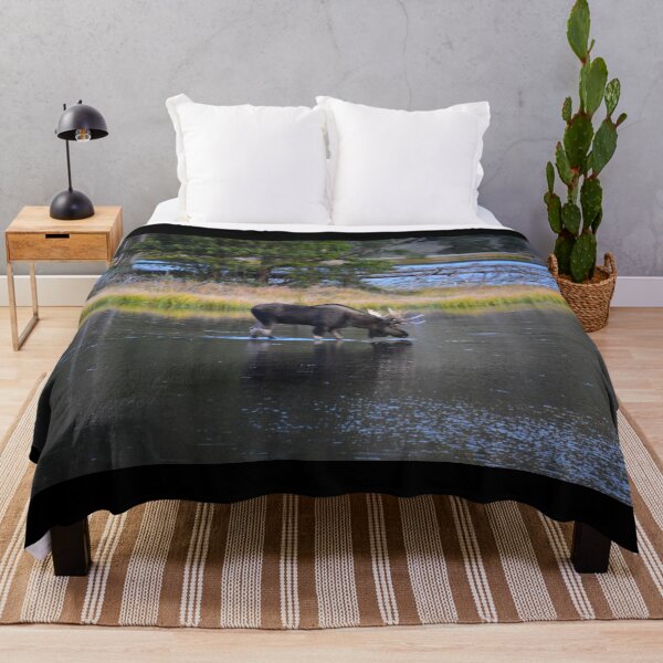 Item preview, Bull Moose, Sprague Lake, Rocky Mountain National Park, Colorado designed and sold by Catherine Sherman.