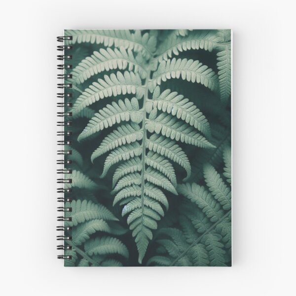 Item preview, Ferns designed and sold by Kenneth Labuskes.