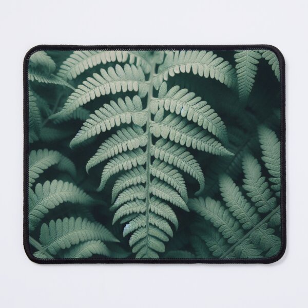Item preview, Ferns designed and sold by Kenneth Labuskes.