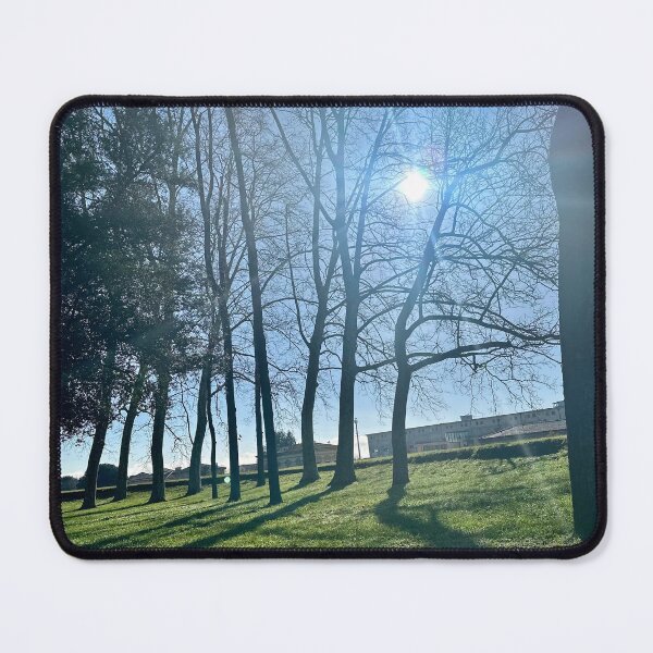 Item preview, sunshine designed and sold by BreeFarinaPhoto.