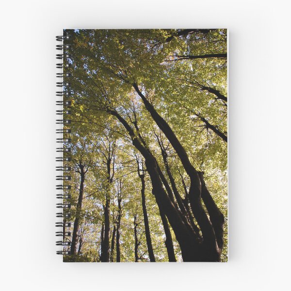Item preview, Tall designed and sold by BreeFarinaPhoto.
