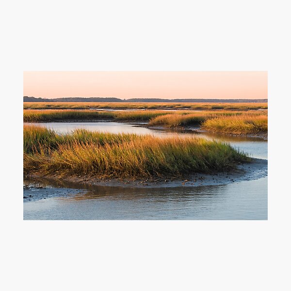 Item preview, Salt Marsh at Sunrise designed and sold by Susan Watson.