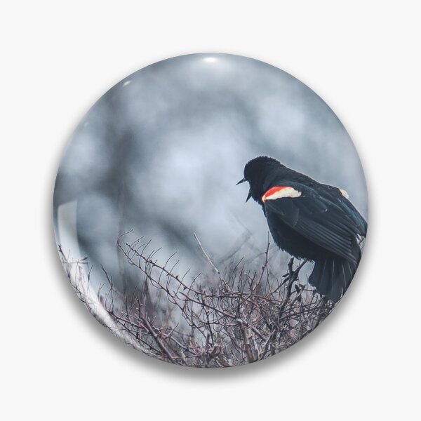 Item preview, Red winged black bird designed and sold by RezieMart.