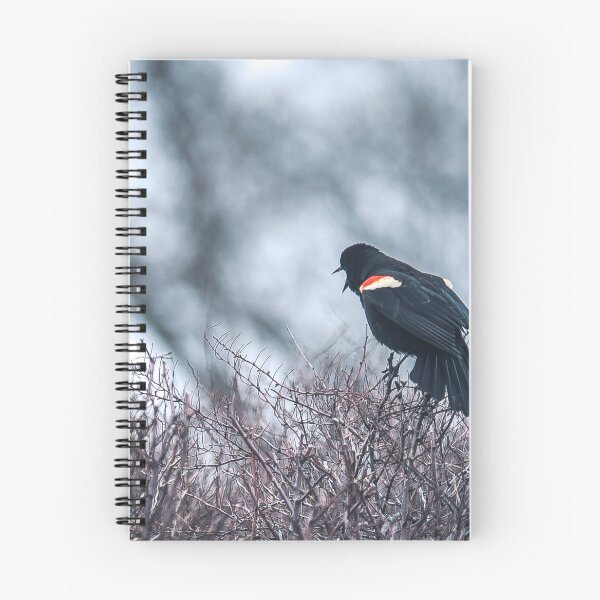 Item preview, Red winged black bird designed and sold by RezieMart.