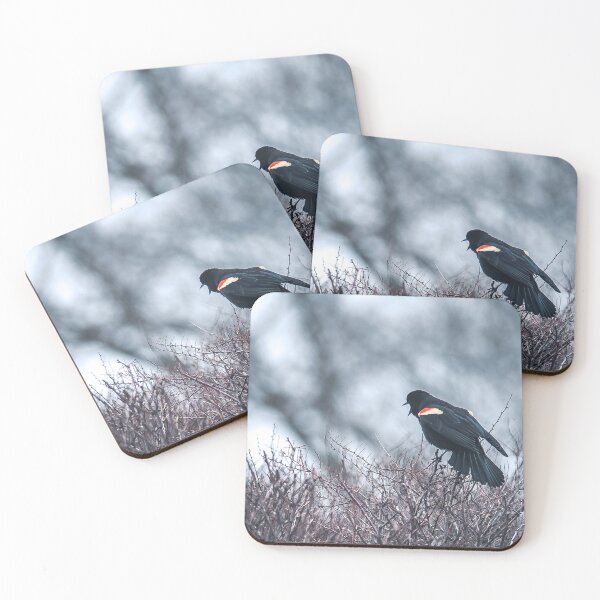 Item preview, Red winged black bird designed and sold by RezieMart.