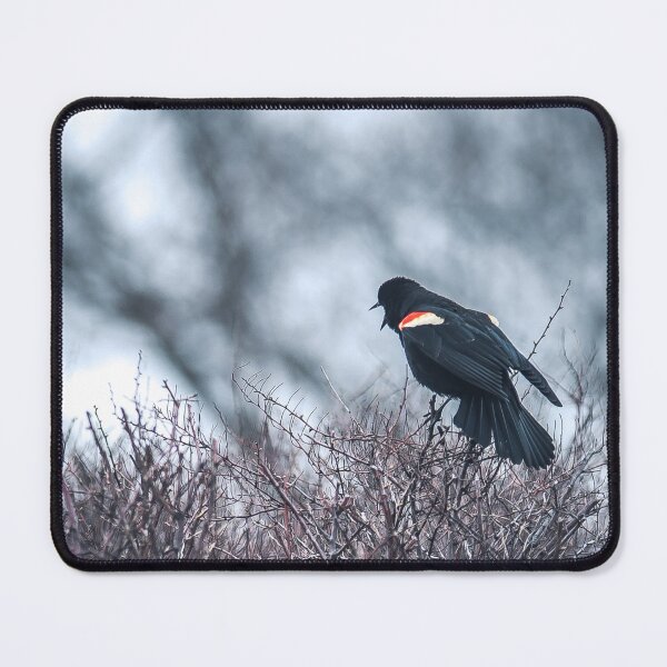 Item preview, Red winged black bird designed and sold by RezieMart.