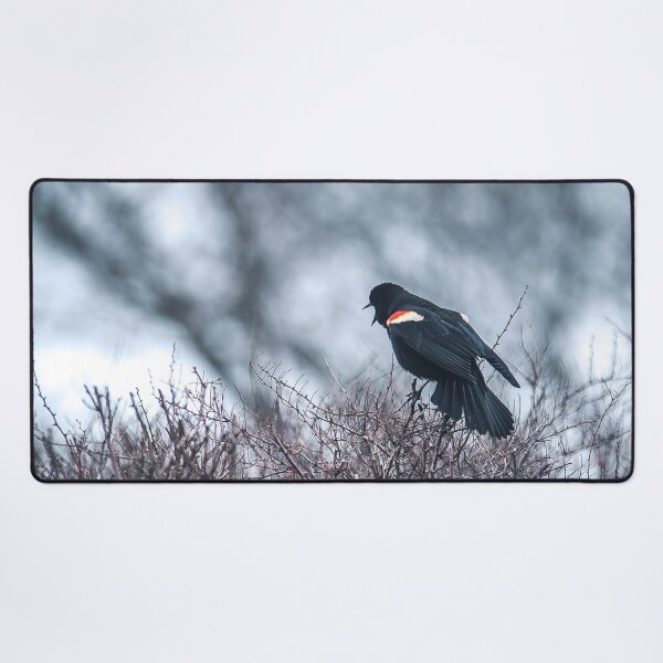 Item preview, Red winged black bird designed and sold by RezieMart.