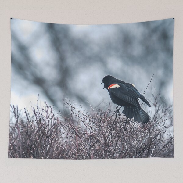 Item preview, Red winged black bird designed and sold by RezieMart.