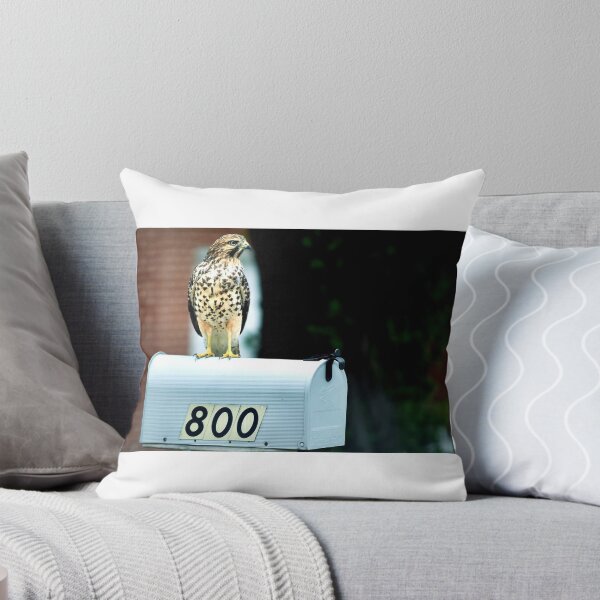 Item preview, Airmail  designed and sold by richs85.