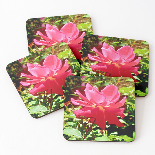 Item preview, Sunlit pink rose designed and sold by Shulie1.