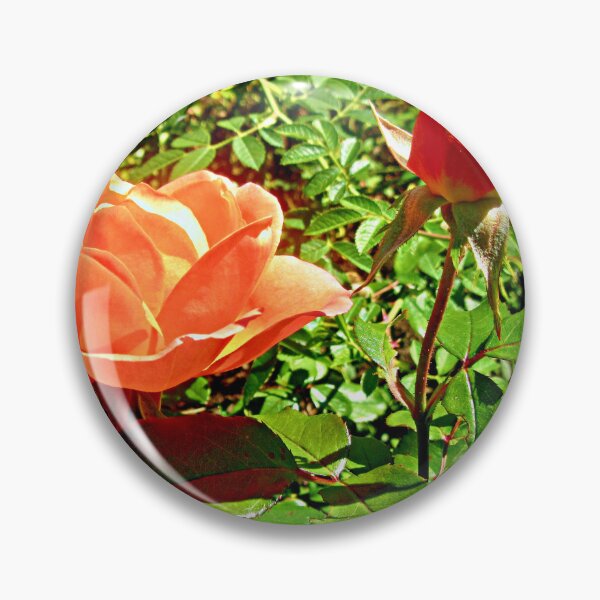 Item preview, Orange Roses designed and sold by Shulie1.