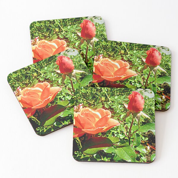 Item preview, Orange Roses designed and sold by Shulie1.