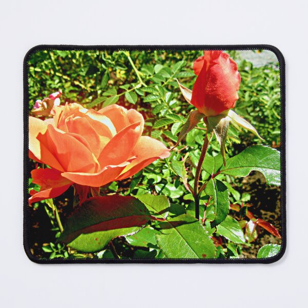 Item preview, Orange Roses designed and sold by Shulie1.