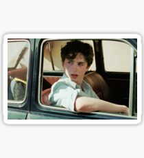 call me by your name / timothee chalamet / elio perlman Sticker