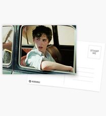 call me by your name / timothee chalamet / elio perlman Postcards