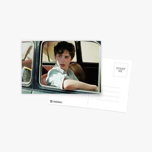 call me by your name / timothee chalamet / elio perlman Postcard