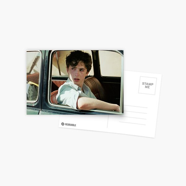 Timothée Chalamet Postcard by daddyhiddlest