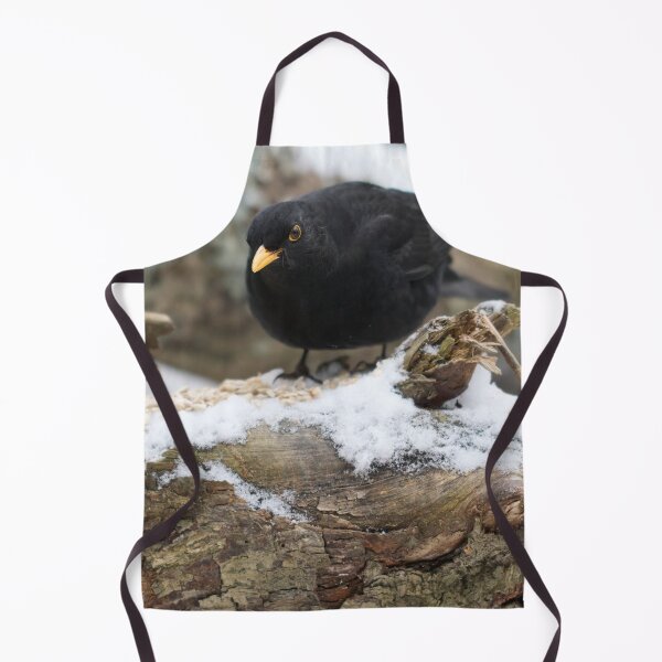 Item preview, Stay sharp. Eurasian blackbird designed and sold by Jouko Lehto Photography.