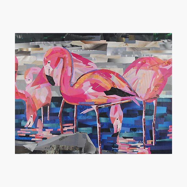 Flamingo Dancers Photographic Print