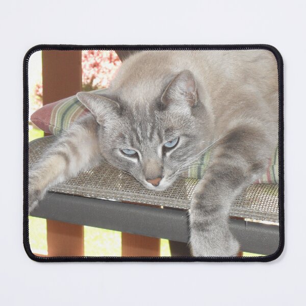 Item preview, Just chillin'............ designed and sold by kevin56.
