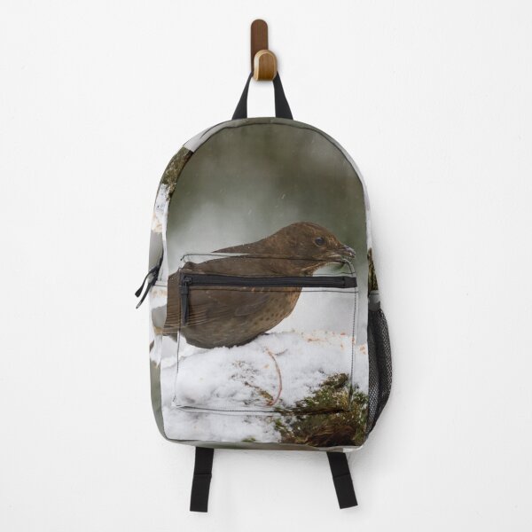 Item preview, Still so young. Eurasian blackbird designed and sold by Jouko Lehto Photography.