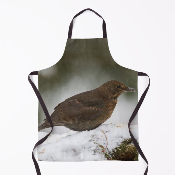 Item preview, Still so young. Eurasian blackbird designed and sold by Jouko Lehto Photography.