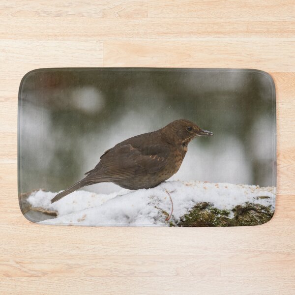 Item preview, Still so young. Eurasian blackbird designed and sold by Jouko Lehto Photography.