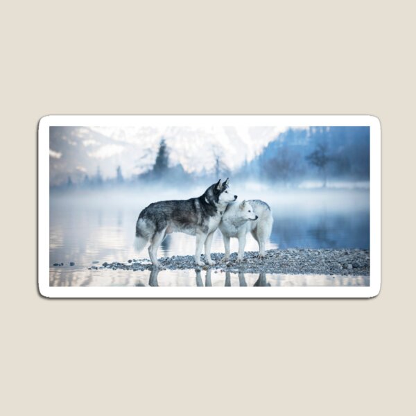 Item preview,  Panoramic,widescreen prints,canvas,posters,canvas prints,metal, Tapestries,Tapestry,throw blankets,Wolves,animal, animals,wolves wall art designed and sold by eyesight4vision.