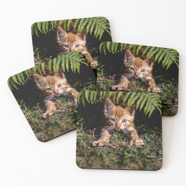 Item preview, Cat Posters designed and sold by ArtFusionRalf.