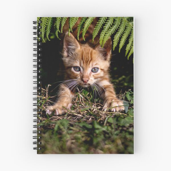 Item preview, Cat Posters designed and sold by ArtFusionRalf.