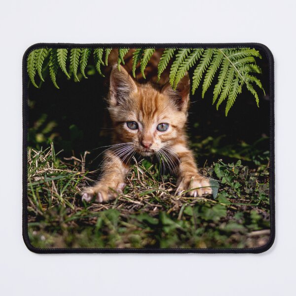 Item preview, Cat Posters designed and sold by ArtFusionRalf.
