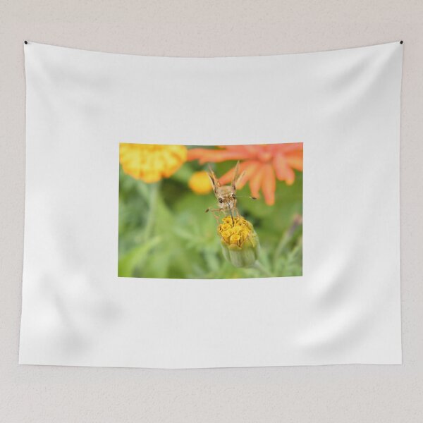 Item preview, Insect and Flower Close-Up, Bronx, New York City designed and sold by lenspiro.