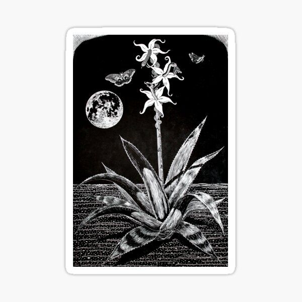 Night Blossoms Woodcut Sticker