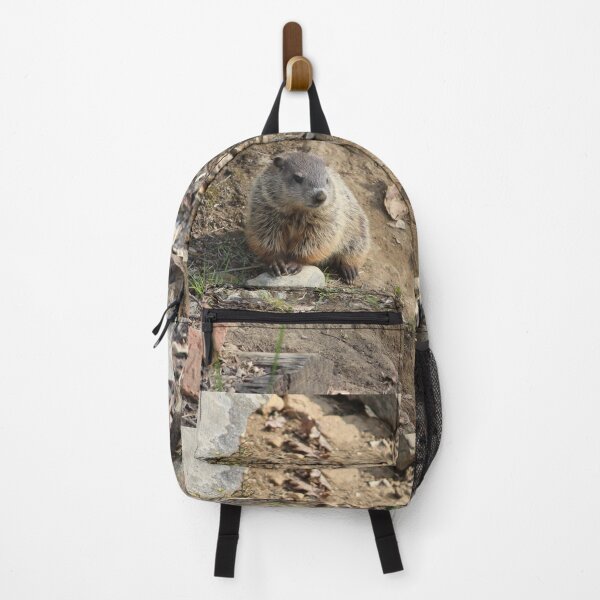 Item preview, Woodchuck Pup Posing on a Rock designed and sold by LisaNaturePhoto.