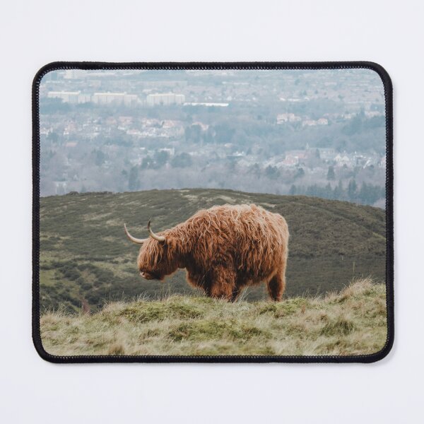 Item preview, Highland Cow Poster, Scotland designed and sold by SaraAlmazPhotos.