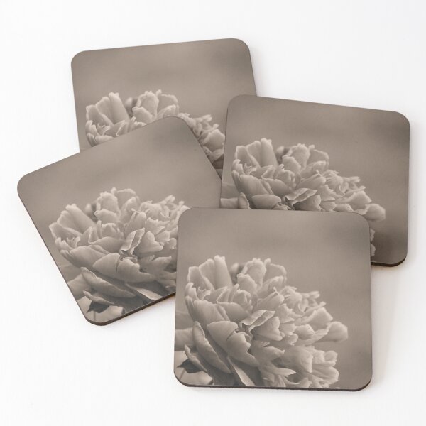 Item preview, Single Peony Bloom in Sepia designed and sold by kristimb.