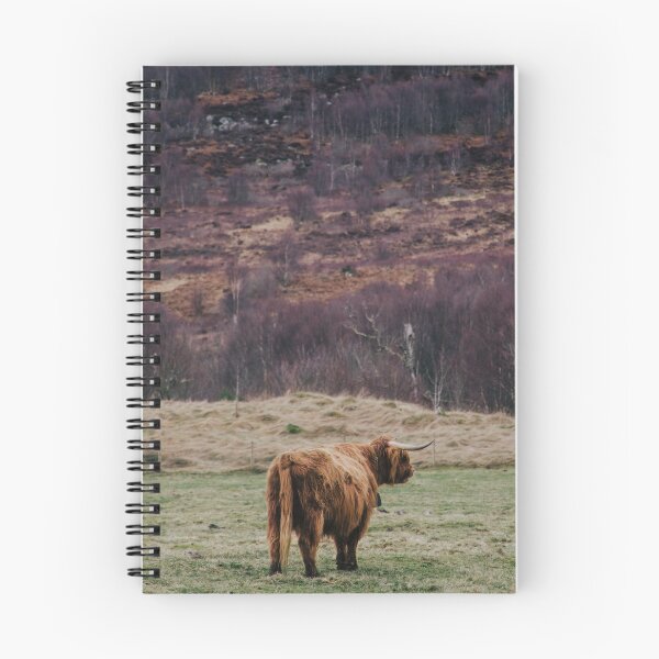 Item preview, Highland Cow, Cairngorms, Scotland designed and sold by SaraAlmazPhotos.