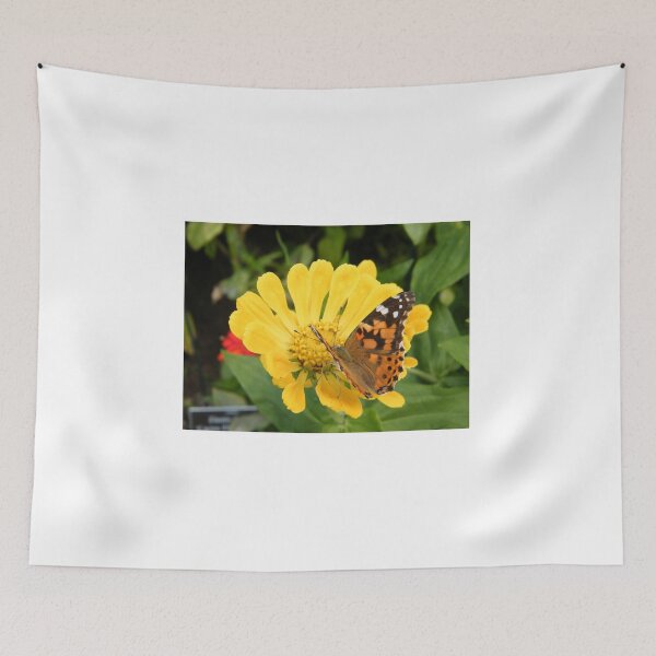 Item preview, Butterfly and Flower Close-Up, Bronx, New York City designed and sold by lenspiro.
