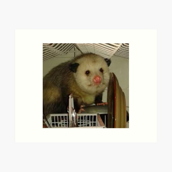 Item preview, dishwasher possum designed and sold by trendyygoods.