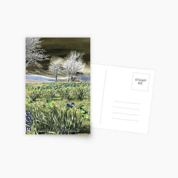 Digital daffodils Postcard