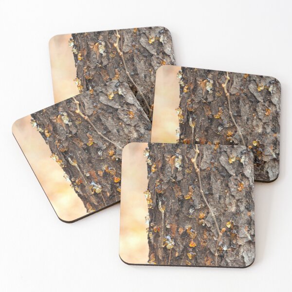 Item preview, Sap after a controlled burn designed and sold by ESK-Kalevala.